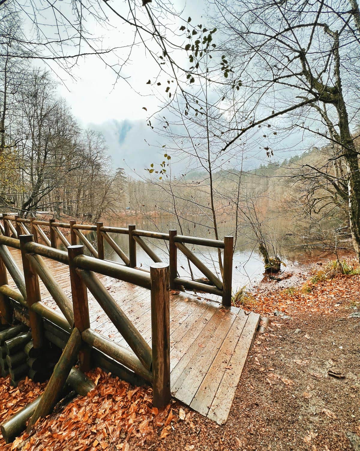 VISITE GUIDÉE DE BOLU-ABANT