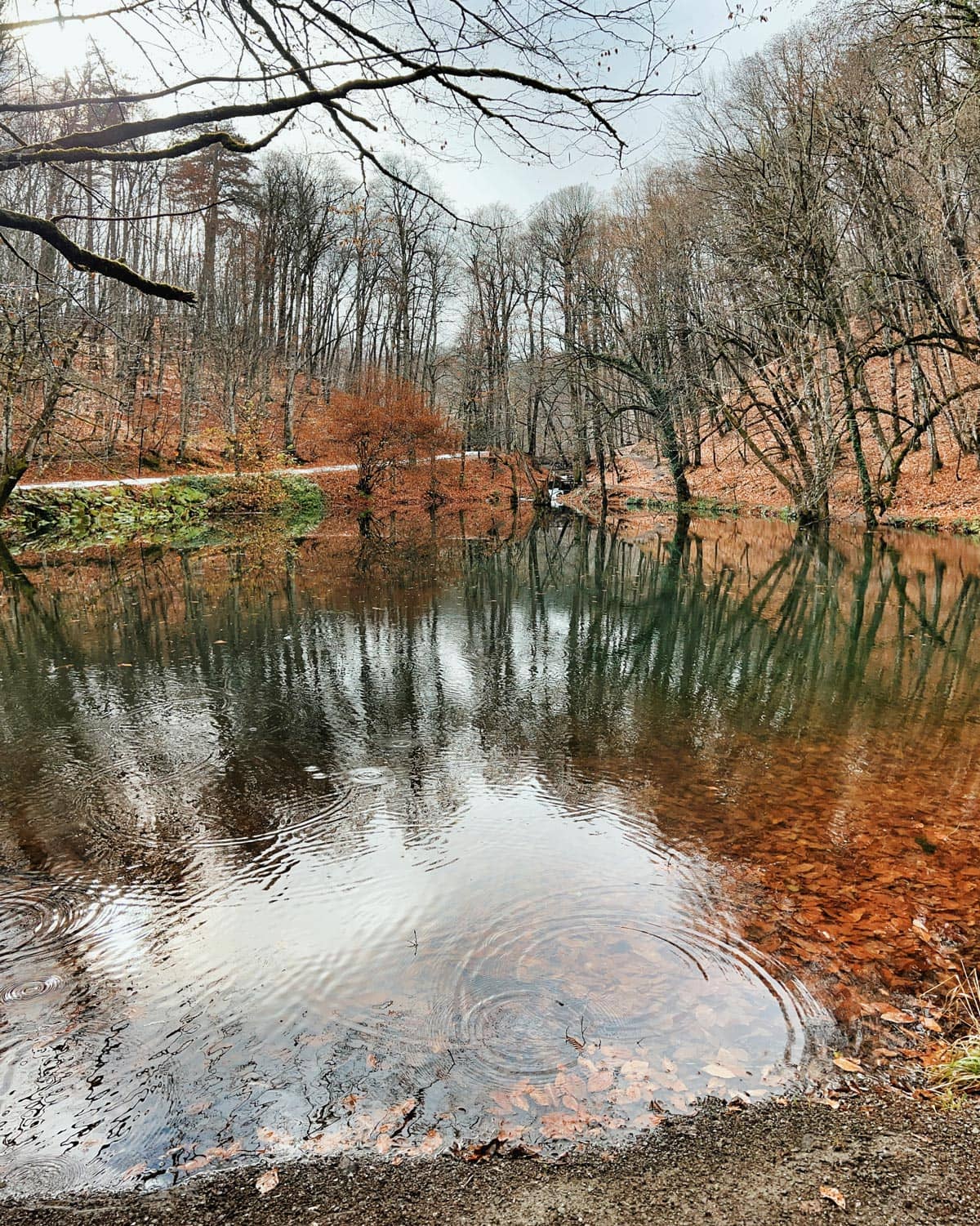 BOLU-ABANT TURU